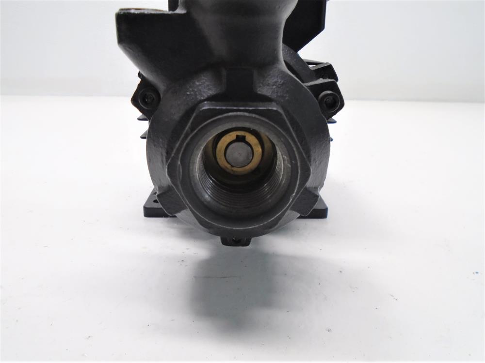 General Pump 1" NPT Pump and Motor, VBC1100511, 3400 RPM, 0.5 HP